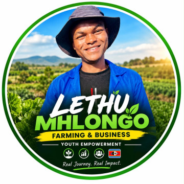 Lethu Mhlongo
